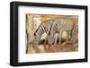 Dawn-Joadoor-Framed Art Print