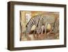 Dawn-Joadoor-Framed Art Print