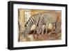 Dawn-Joadoor-Framed Art Print