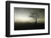 Dawn..........-Wim Schuurmans-Framed Photographic Print