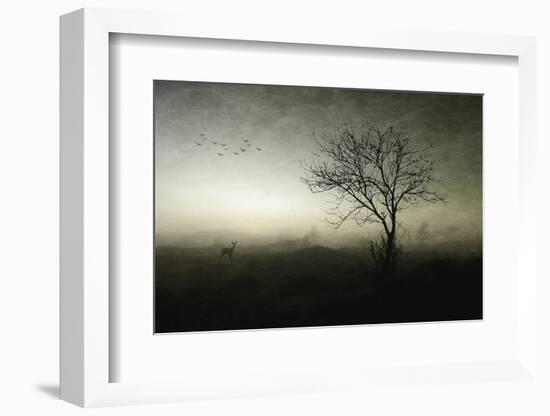 Dawn..........-Wim Schuurmans-Framed Photographic Print