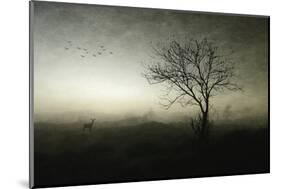 Dawn..........-Wim Schuurmans-Mounted Photographic Print