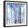 Dawn-Jacob Berghoef-Framed Photographic Print