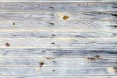 Rustic Wood Background-dawnamoore-Photographic Print