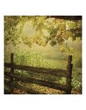 Farm Fence-Dawne Polis-Art Print