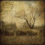 Hay Rolls-Dawne Polis-Art Print