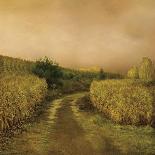 Sunset Cornfield-Dawne Polis-Art Print