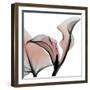 Dawned Calla Lily-Albert Koetsier-Framed Photographic Print