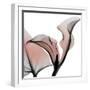 Dawned Calla Lily-Albert Koetsier-Framed Photographic Print