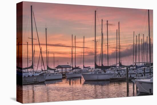 Dawning Day-Danny Head-Stretched Canvas