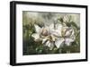 Dawning Magnolias-Meng-Framed Giclee Print