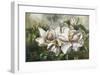 Dawning Magnolias-Meng-Framed Giclee Print