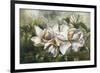 Dawning Magnolias-Meng-Framed Giclee Print