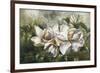 Dawning Magnolias-Meng-Framed Giclee Print