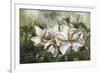 Dawning Magnolias-Meng-Framed Giclee Print