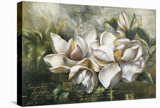 Dawning Magnolias-Meng-Stretched Canvas