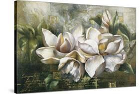 Dawning Magnolias-Meng-Stretched Canvas