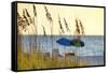 Day at the Beach Is Seen Through the Sea Oats Off the West Coast of Florida-Sheila Haddad-Framed Stretched Canvas