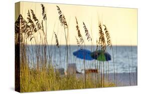 Day at the Beach Is Seen Through the Sea Oats Off the West Coast of Florida-Sheila Haddad-Stretched Canvas