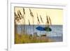 Day at the Beach Is Seen Through the Sea Oats Off the West Coast of Florida-Sheila Haddad-Framed Photographic Print