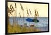 Day at the Beach Is Seen Through the Sea Oats Off the West Coast of Florida-Sheila Haddad-Framed Photographic Print