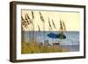 Day at the Beach Is Seen Through the Sea Oats Off the West Coast of Florida-Sheila Haddad-Framed Photographic Print