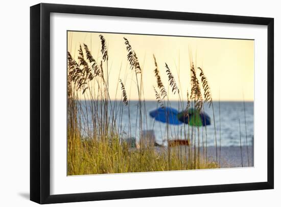 Day at the Beach Is Seen Through the Sea Oats Off the West Coast of Florida-Sheila Haddad-Framed Photographic Print