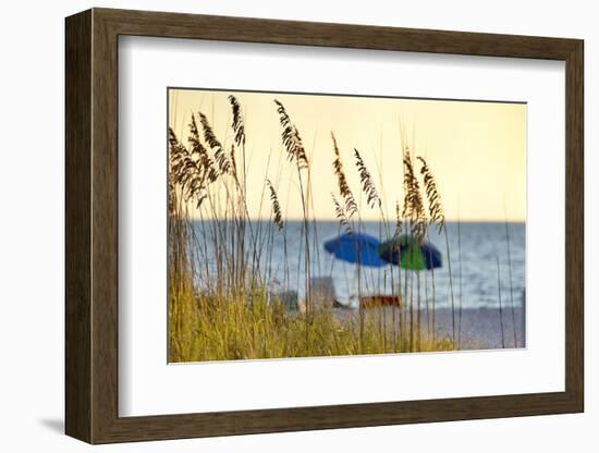 Day at the Beach Is Seen Through the Sea Oats Off the West Coast of Florida-Sheila Haddad-Framed Photographic Print