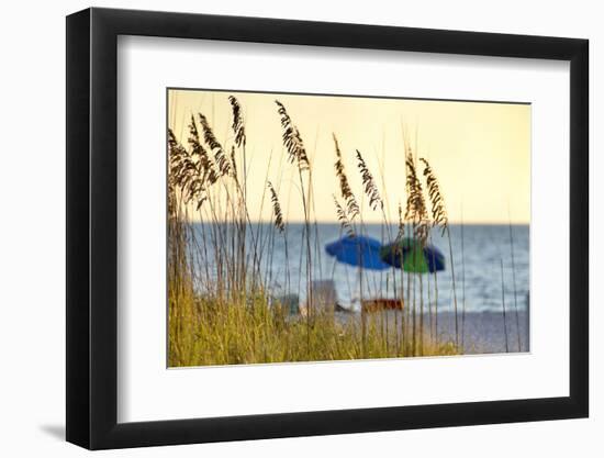 Day at the Beach Is Seen Through the Sea Oats Off the West Coast of Florida-Sheila Haddad-Framed Photographic Print