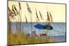 Day at the Beach Is Seen Through the Sea Oats Off the West Coast of Florida-Sheila Haddad-Mounted Photographic Print