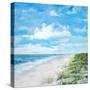 Day At The Beach Square-Julie DeRice-Stretched Canvas