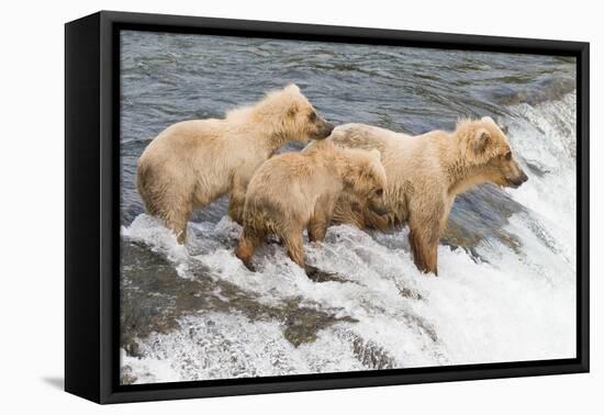 Day at the Falls-Susann Parker-Framed Stretched Canvas