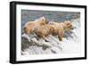 Day at the Falls-Susann Parker-Framed Premium Photographic Print