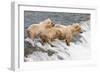 Day at the Falls-Susann Parker-Framed Premium Photographic Print