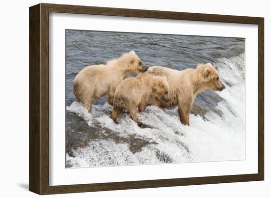 Day at the Falls-Susann Parker-Framed Photographic Print