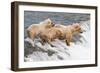 Day at the Falls-Susann Parker-Framed Photographic Print