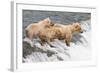 Day at the Falls-Susann Parker-Framed Photographic Print