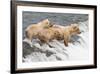Day at the Falls-Susann Parker-Framed Photographic Print
