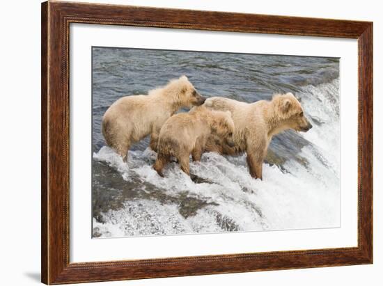 Day at the Falls-Susann Parker-Framed Photographic Print