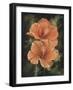 Day Break-Barbara Keith-Framed Giclee Print