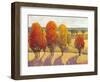 Day Glow II-Tim O'toole-Framed Art Print