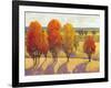 Day Glow II-Tim O'toole-Framed Art Print