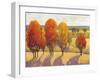 Day Glow II-Tim O'toole-Framed Art Print