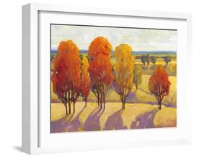 Day Glow II-Tim O'toole-Framed Art Print