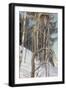 Black Frame