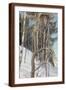 Brown Frame