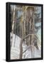 Essential Black