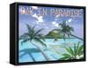 Day in Paradise-Scott Westmoreland-Framed Stretched Canvas