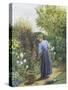 Day in the Garden-Marian Chase-Stretched Canvas