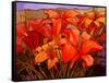 Day Lilies III-John Newcomb-Framed Stretched Canvas